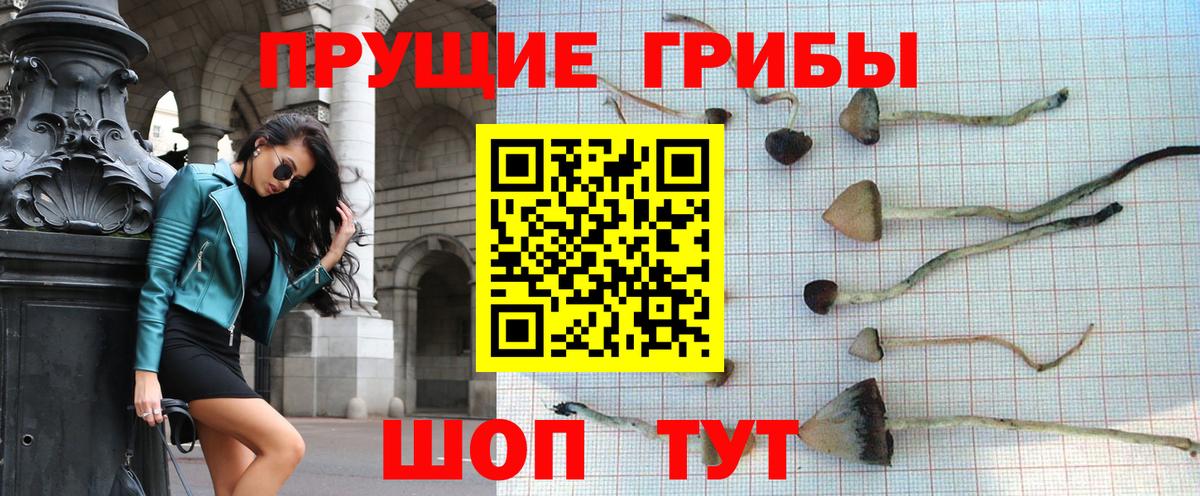 Ишим  Псилоцибиновые грибы мицелий  Вход с VPN 