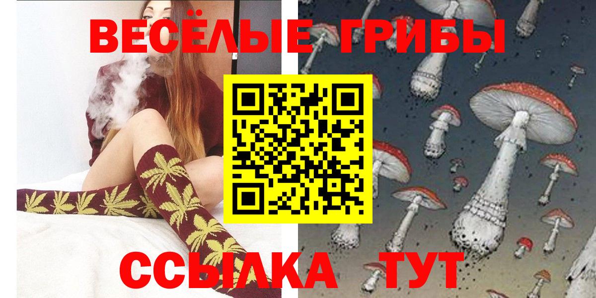 Галлюциногенные грибы Cubensis Ишим